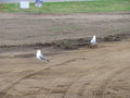2009 Eagles Nest Mission Trip 078.jpg